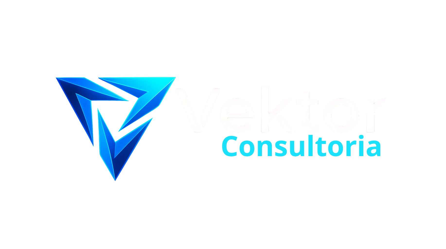 Vektor Consultoria